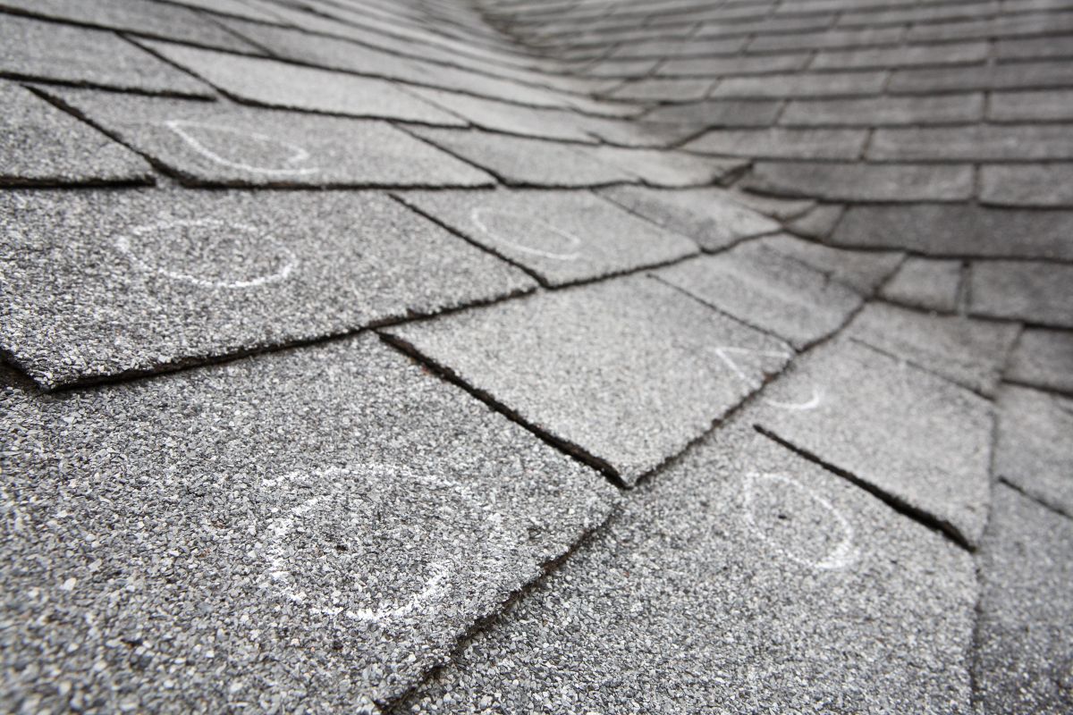 hail damage signs shingles